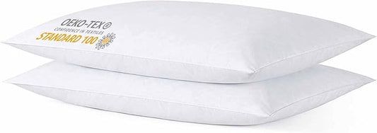 iFaon Thin Flat Slim Ultra Soft Bed Pillows Queen Size Set of 2 Pack for Sleeping, Bed Pillow for Stomach Back and Side Sl...