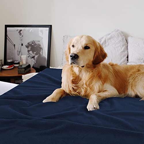 Special SG Glory Fleece Throw Blankets Solid Lightweight Warm Soft Cozy Pet-Friendly for Home Bed Sofa Couch Dorm Office W...